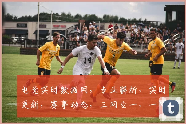 电竞实时数据网，专业解析，实时更新，赛事动态，三网合一，一网打尽