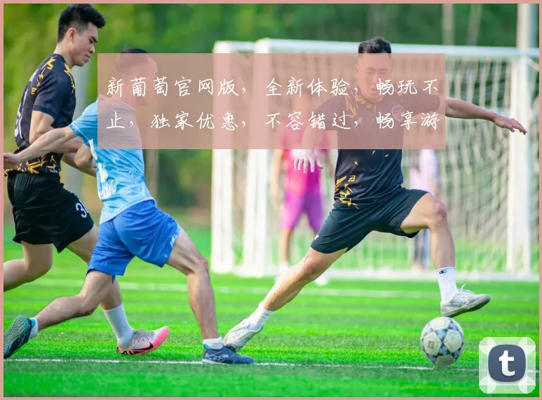 新葡萄官网版，全新体验，畅玩不止，独家优惠，不容错过，畅享游戏乐趣