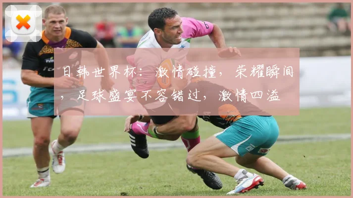 日韩世界杯：激情碰撞，荣耀瞬间，足球盛宴不容错过，激情四溢